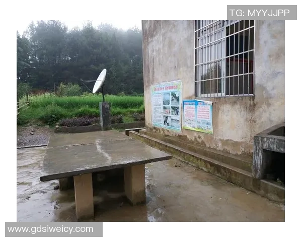 张庆鹏：从篮球场到人生舞台的奋斗与成长之路